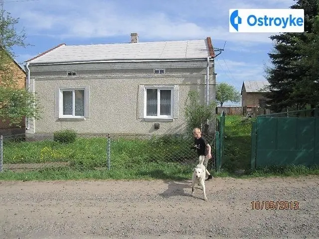 Зелена — фото 3