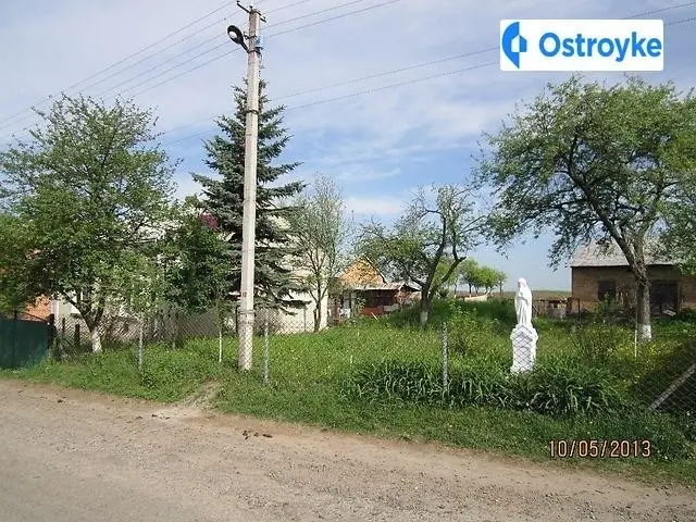 Зелена — фото 5