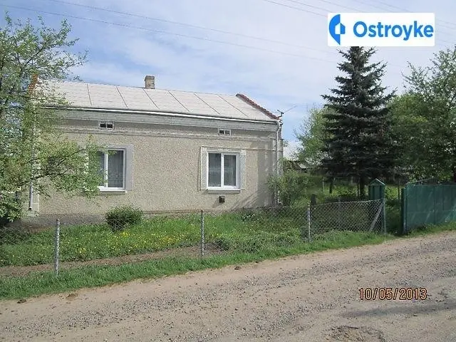 Зелена — фото 4