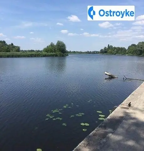 Осокорки Золоче Остров — фото 5