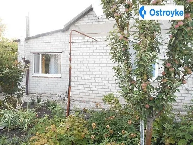 Продаж будинку, 100 м², Близнюки — фото 1