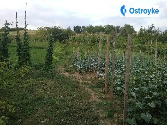 Червона Гора — фото 4