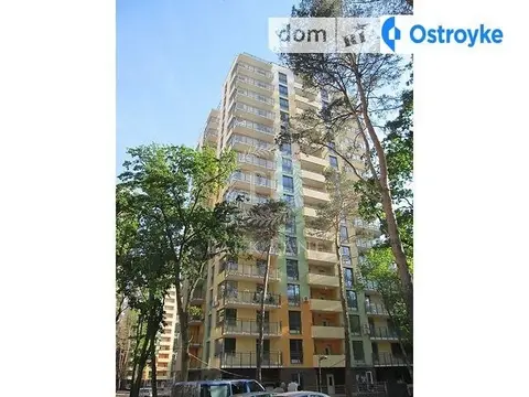 Петрицького А. 17
