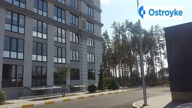 вул. Університетська — фото 3