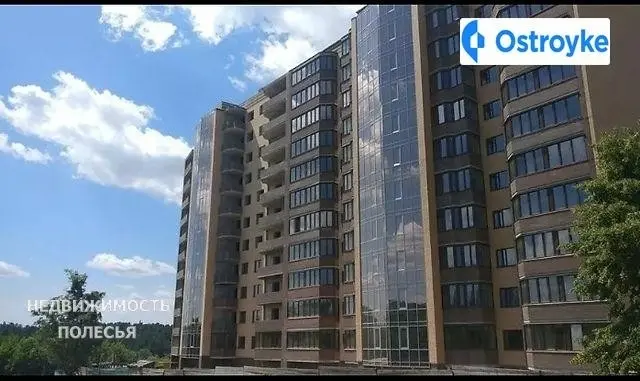 Тетеревский Бульвар — фото 3