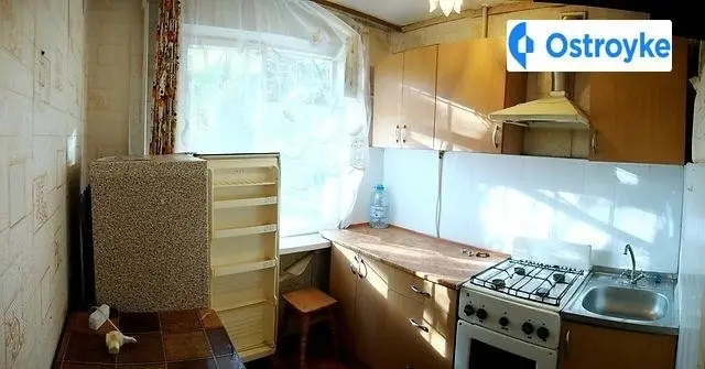 Сєдова Різдвяна Орджонікідзе — фото 3