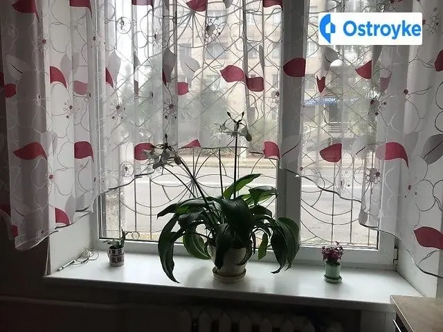 Фрунзе улица — фото 3