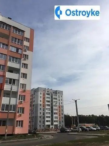Мира улица — фото 2