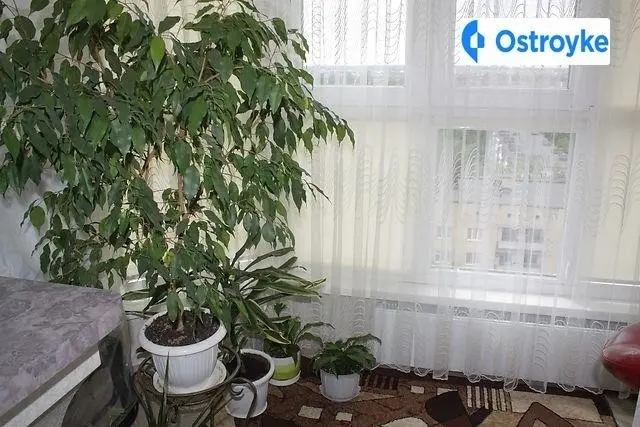 Василия Порика улица — фото 5