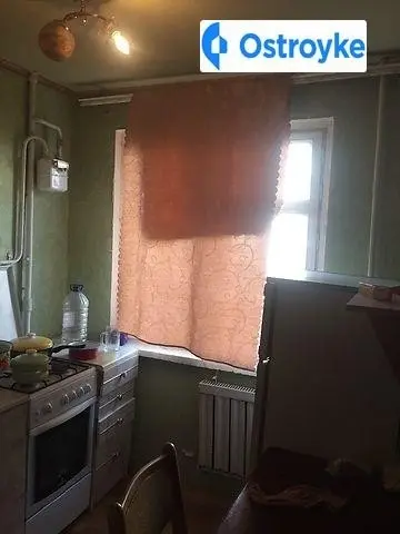 Шелушкова — фото 4