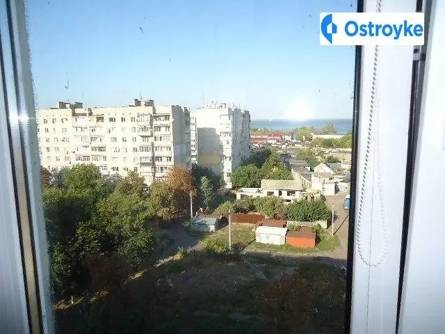 Амброса — фото 2