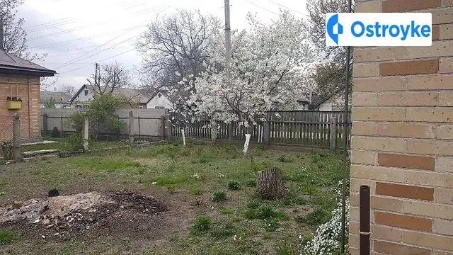 Київська — фото 5