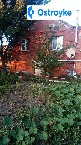 Шота Руставели улица