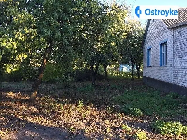 Продаж будинку, 118 м², Брусилів — фото 3