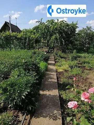 Боковенька — фото 5
