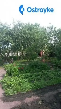Продаж будинку, 115 м², Буча — фото 4
