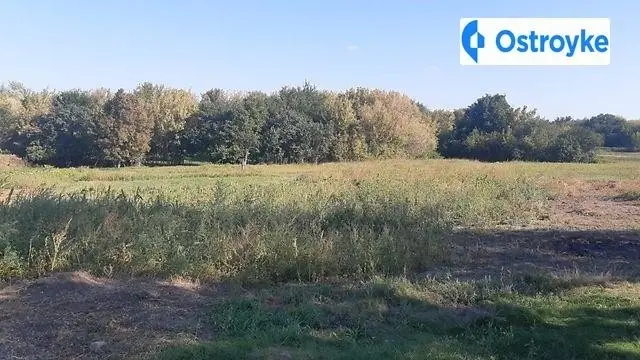 Центральная улица — фото 2
