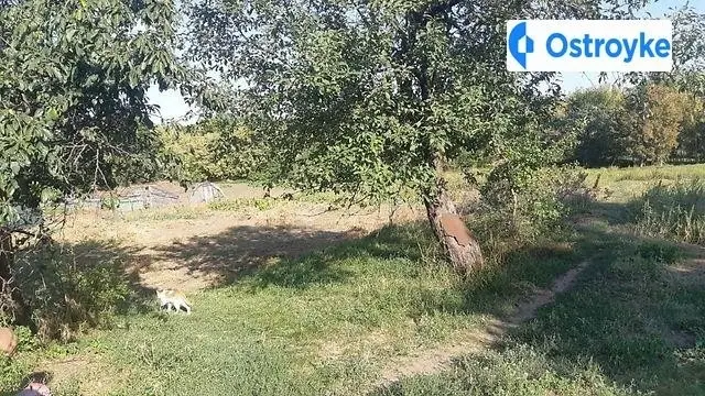Центральная улица — фото 3