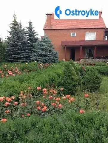 Осипенко улица — фото 1