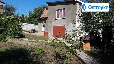 Дружна
