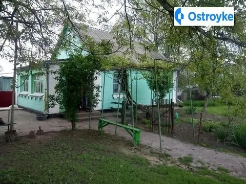 Гогол,