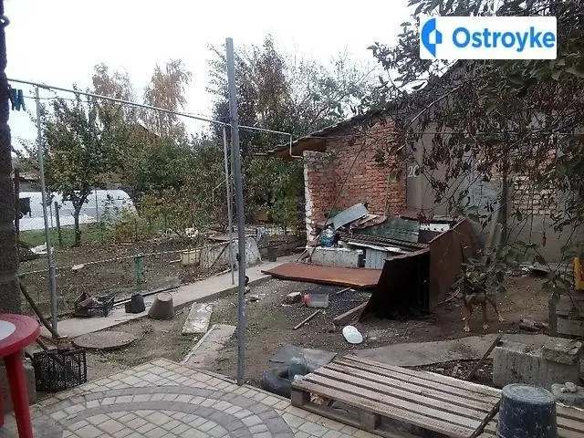 Франка Івана — фото 3