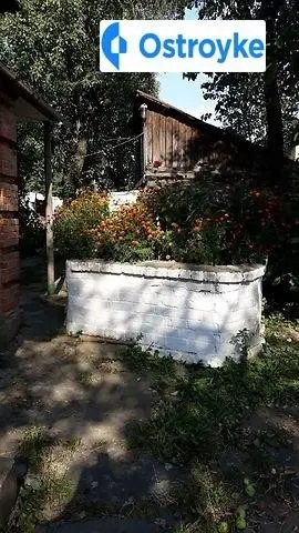 Королева улица — фото 2