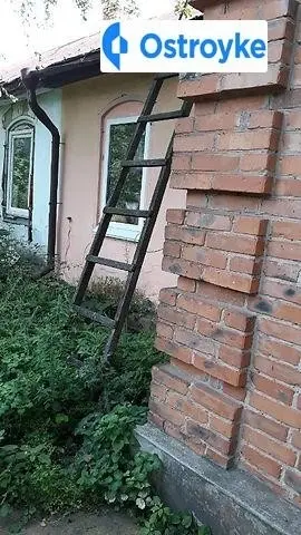 Королева улица — фото 4