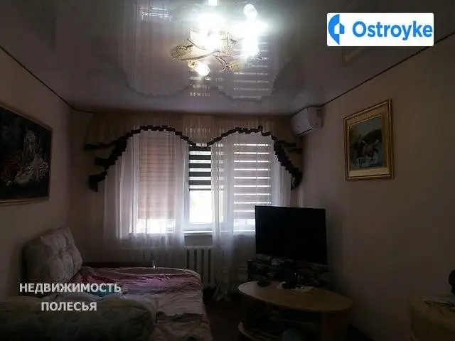Шелушкова — фото 4