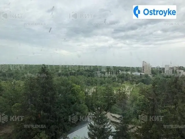 Балакирева ул. — фото 4