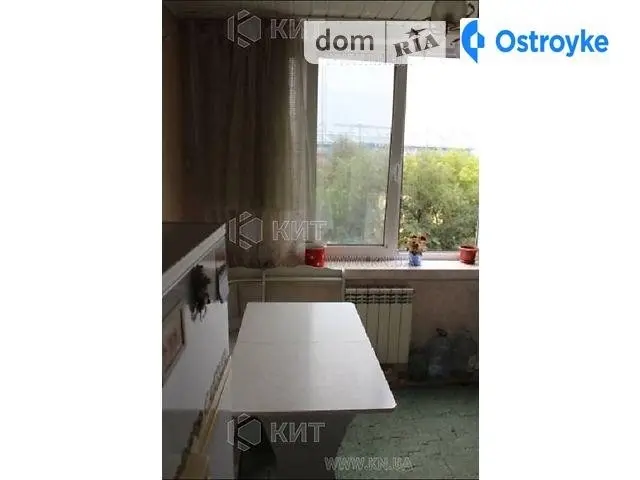 Молочная Кирова ул. — фото 2