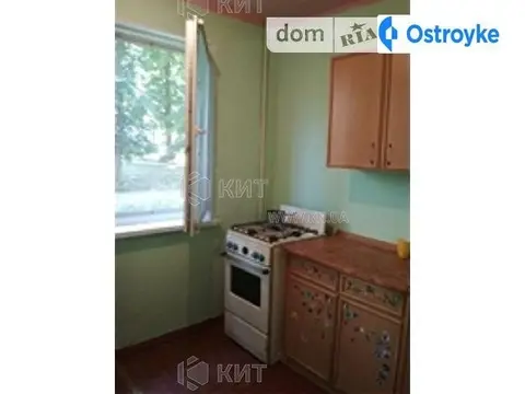 Владислава Зубенко Тимуровцев ул.