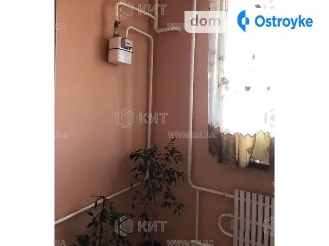 Дружбы Народов ул. — фото 2