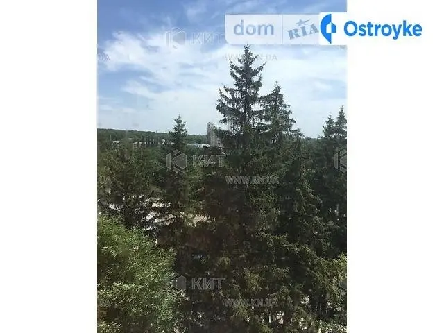 Балакирева ул. — фото 4