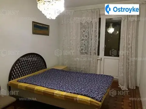 Амосова Корчагинцев ул.