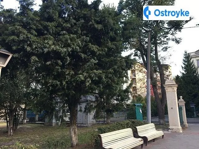 Пекарська 65а — фото 3