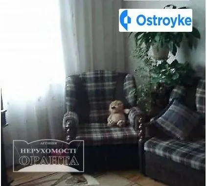 Карпенко улица — фото 1