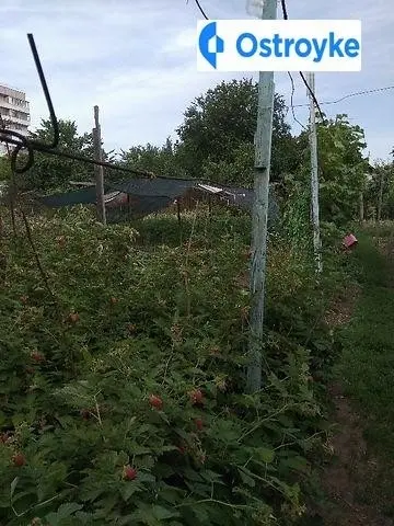 Ольги Кобылянской — фото 5
