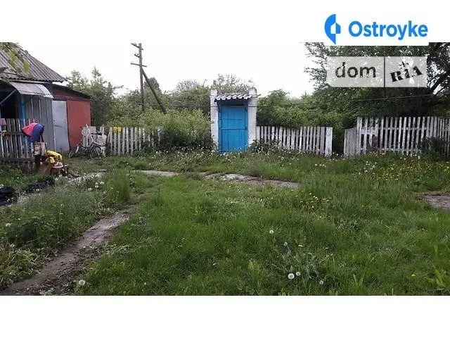 Л.Украинки — фото 3