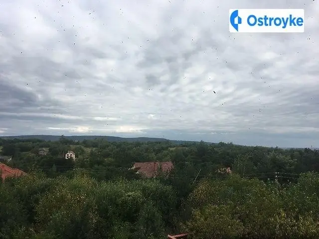 Джерельна — фото 2