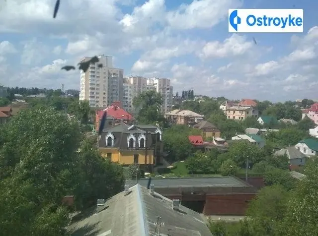 Петропавловская улица — фото 3