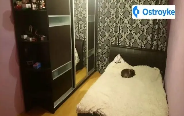 Леся Курбаса проспект — фото 3