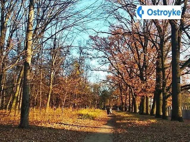 1-кімнатна квартира, 40 м², вул. генерала Якова Гандзюка, Вінниця — фото 3