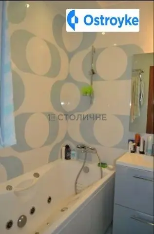 Вышгородская улица — фото 3