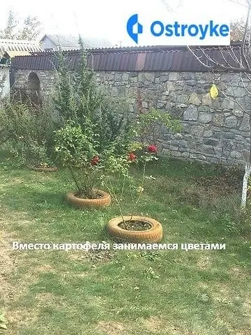 Продаж будинку, 28 м², Кам'янець-Подільський — фото 3