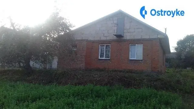 Мала колибань садова — фото 5