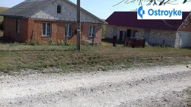 Мала колибань садова — фото 1