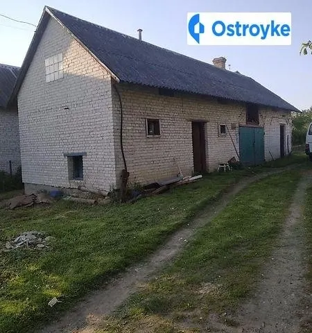 Зелена — фото 1