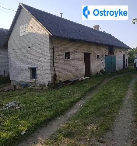 Зелена