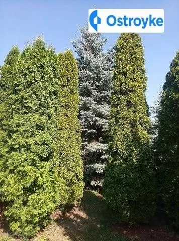 Садовая (Осокорки) улица — фото 4